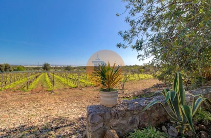 Quinta T5 para Venda em Luz de Tavira e Santo Estêvão