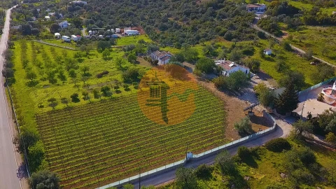Quinta T5 para Venda em Luz de Tavira e Santo Estêvão