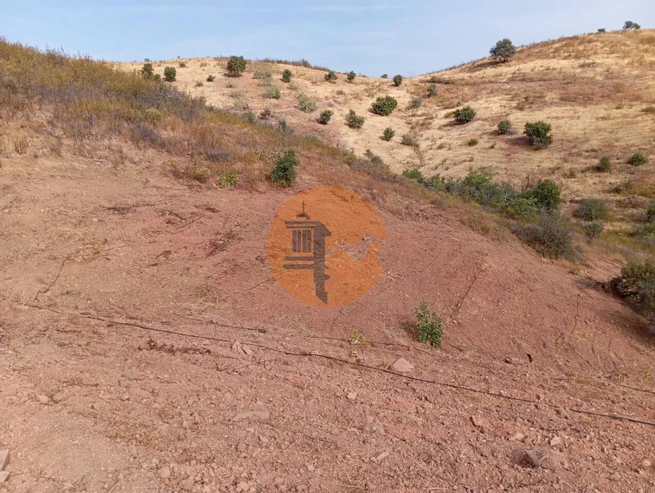Terreno para Venda em Conceição e Cabanas de Tavira Foto 10