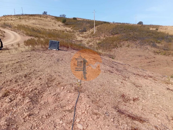 Terreno para Venda em Conceição e Cabanas de Tavira Foto 9