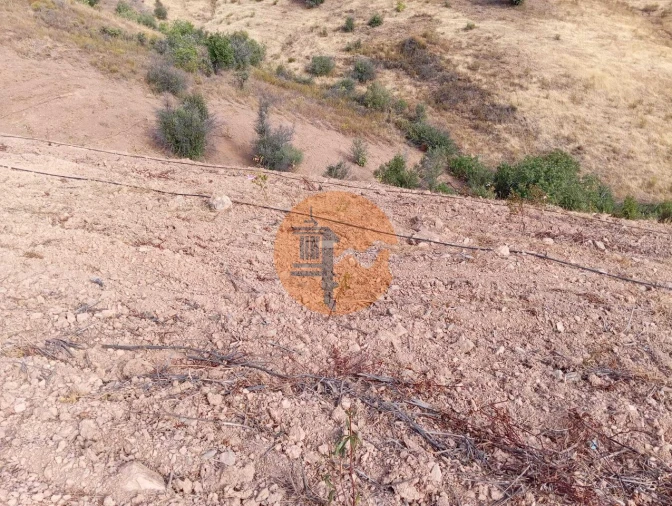 Terreno para Venda em Conceição e Cabanas de Tavira Foto 11