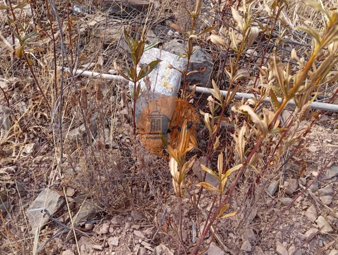 Terreno para Venda em Conceição e Cabanas de Tavira Foto 4