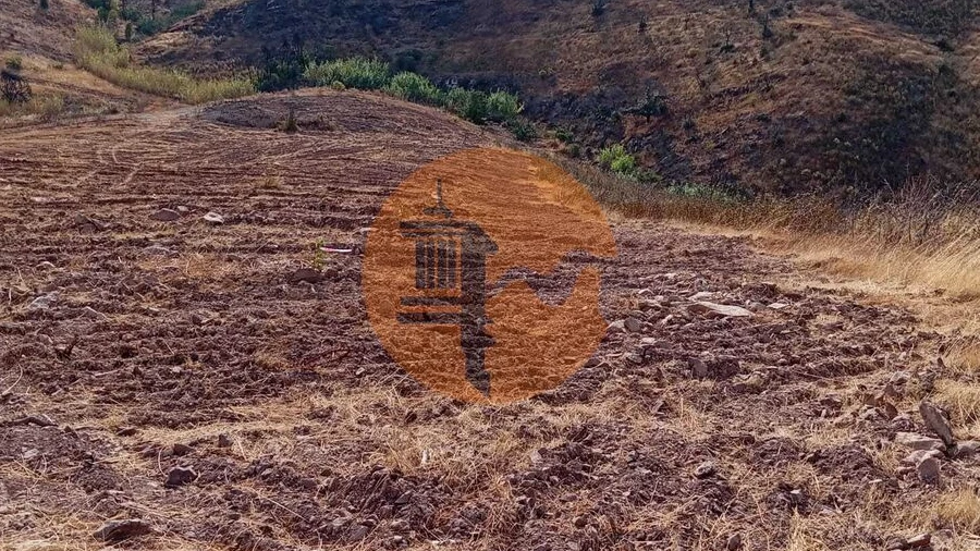 Terreno para Venda em Conceição e Cabanas de Tavira