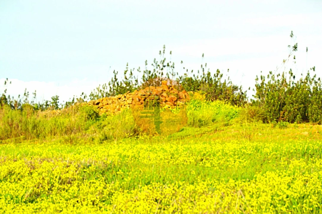 Terreno para Venda em Tavira (Santa Maria e Santiago) Foto 1