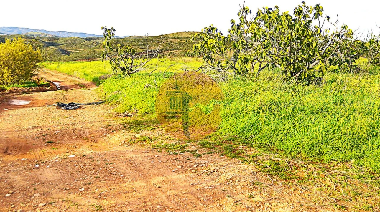 Terreno para Venda em Tavira (Santa Maria e Santiago) Foto 5