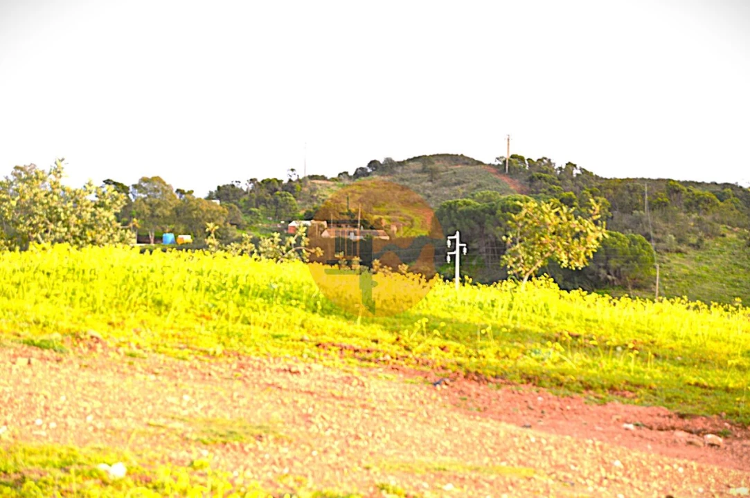 Terreno para Venda em Tavira (Santa Maria e Santiago) Foto 7