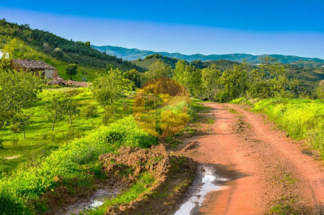 Terreno para Venda em Tavira (Santa Maria e Santiago) Foto 1