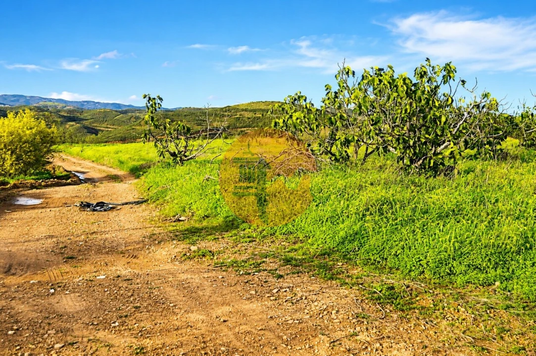 Terreno para Venda em Tavira (Santa Maria e Santiago) Foto 2