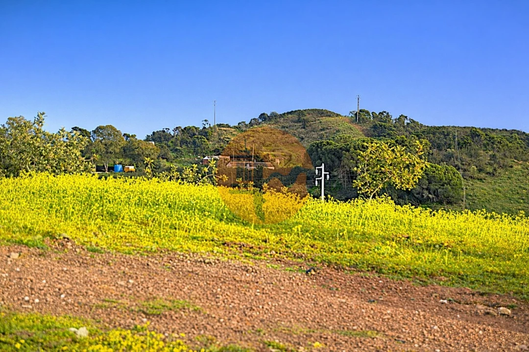 Terreno para Venda em Tavira (Santa Maria e Santiago) Foto 4