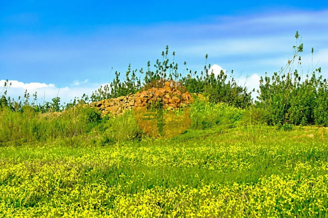 Terreno para Venda em Tavira (Santa Maria e Santiago) Foto 6