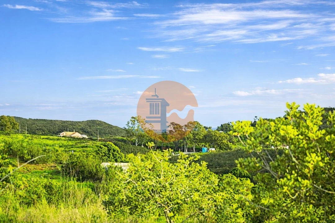 Terreno para Venda em Tavira (Santa Maria e Santiago) Foto 8