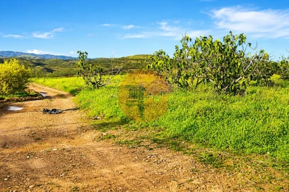 Terreno para Venda em Tavira (Santa Maria e Santiago)