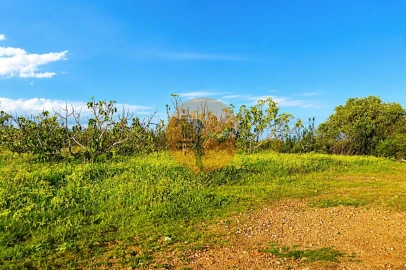Terreno para Venda em Tavira (Santa Maria e Santiago)