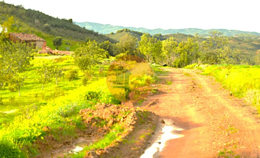 Terreno para Venda em Tavira (Santa Maria e Santiago) Foto 3