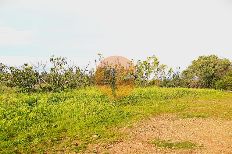 Terreno para Venda em Tavira (Santa Maria e Santiago) Foto 4