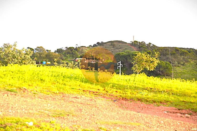 Terreno para Venda em Tavira (Santa Maria e Santiago) Foto 7
