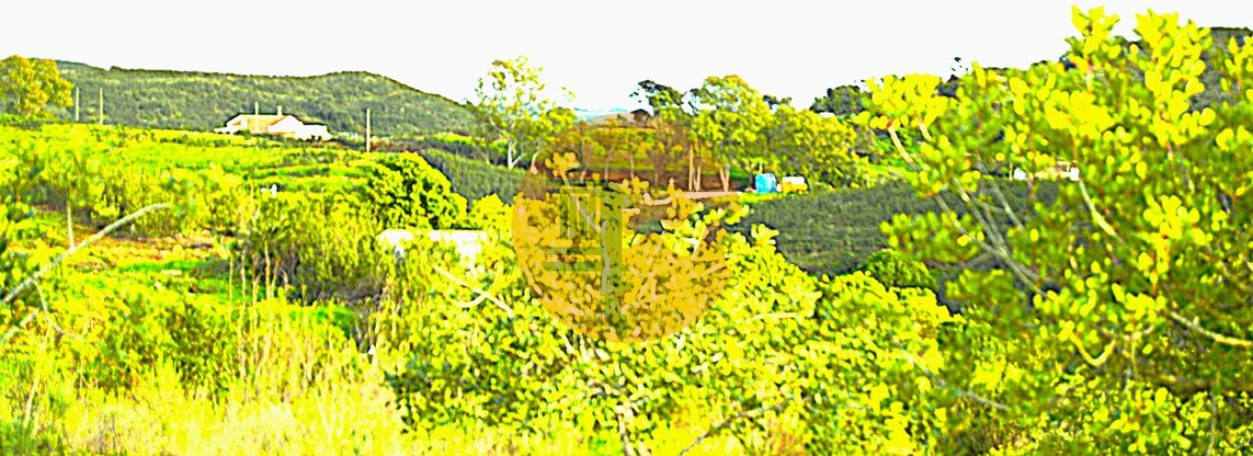 Terreno para Venda em Tavira (Santa Maria e Santiago) Foto 8