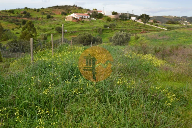 Terreno para Venda em Tavira (Santa Maria e Santiago) Foto 7