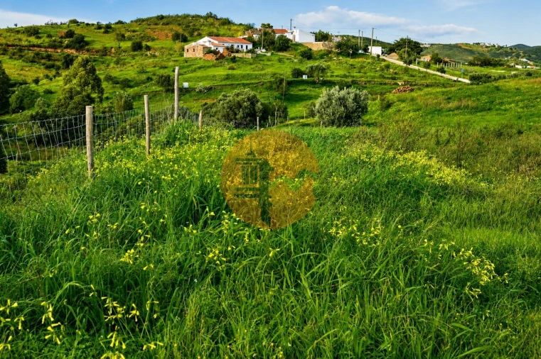 Terreno para Venda em Tavira (Santa Maria e Santiago) Foto 7