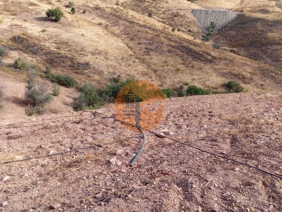 Terreno para Venda em Conceição e Cabanas de Tavira Foto 3