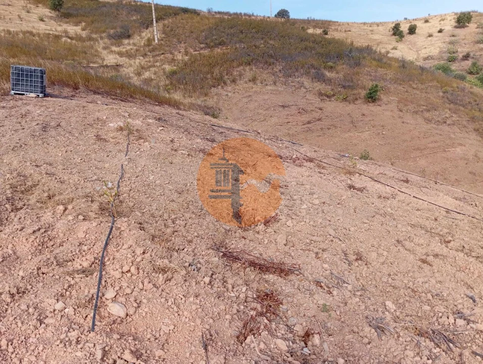 Terreno para Venda em Conceição e Cabanas de Tavira Foto 8