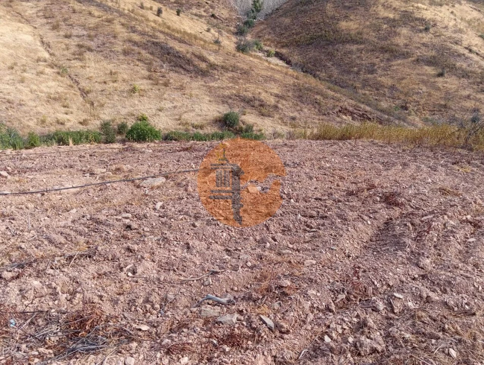 Terreno para Venda em Conceição e Cabanas de Tavira Foto 11