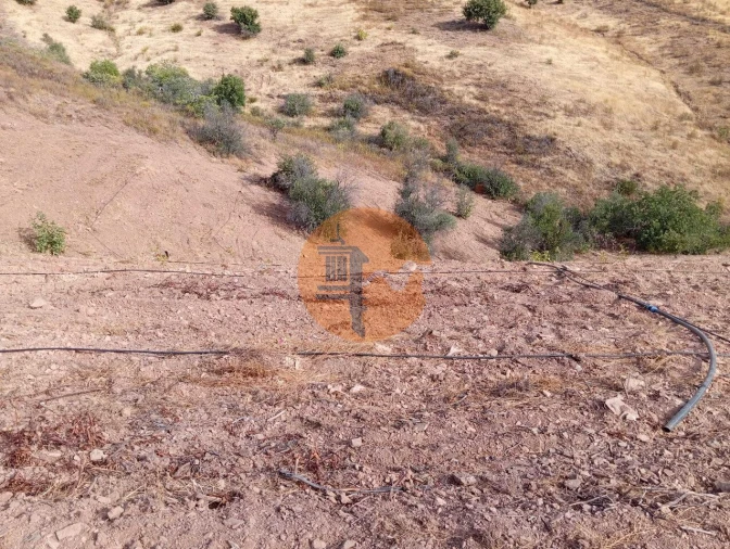 Terreno para Venda em Conceição e Cabanas de Tavira Foto 5