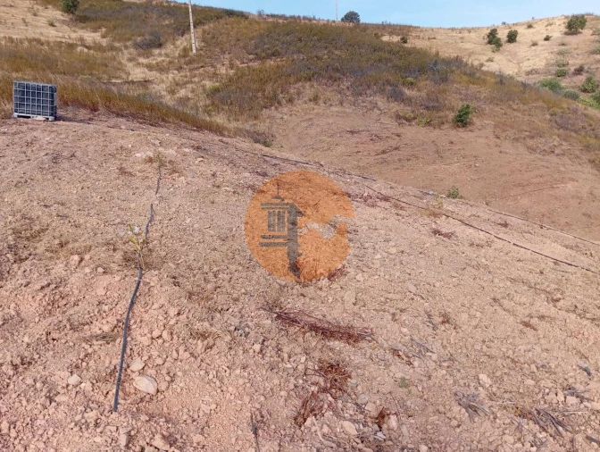 Terreno para Venda em Conceição e Cabanas de Tavira Foto 8