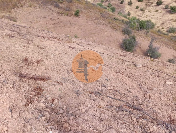 Terreno para Venda em Conceição e Cabanas de Tavira Foto 9