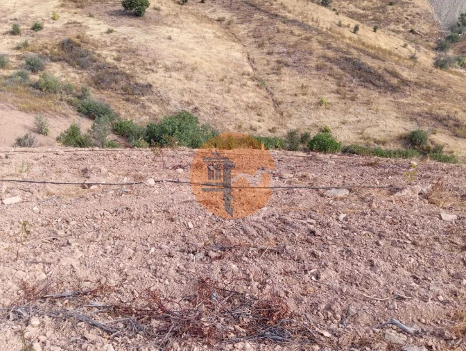 Terreno para Venda em Conceição e Cabanas de Tavira Foto 12