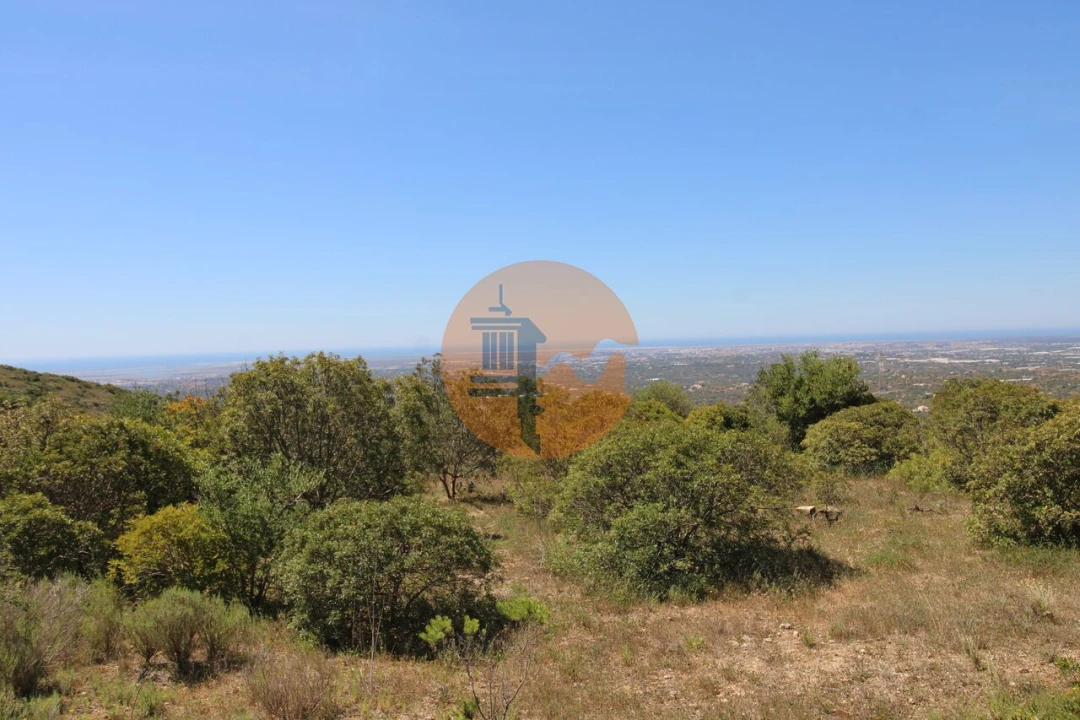 Terreno para Venda em Conceição e Estoi Foto 4