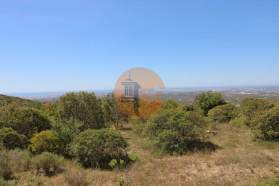 Terreno para Venda em Conceição e Estoi