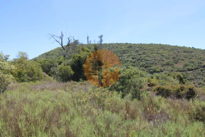 Terreno para Venda em Conceição e Estoi