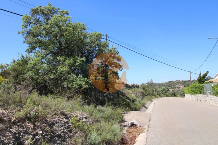 Terreno para Venda em Conceição e Estoi Foto 11