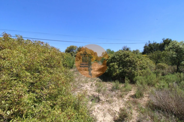 Terreno para Venda em Conceição e Estoi Foto 7