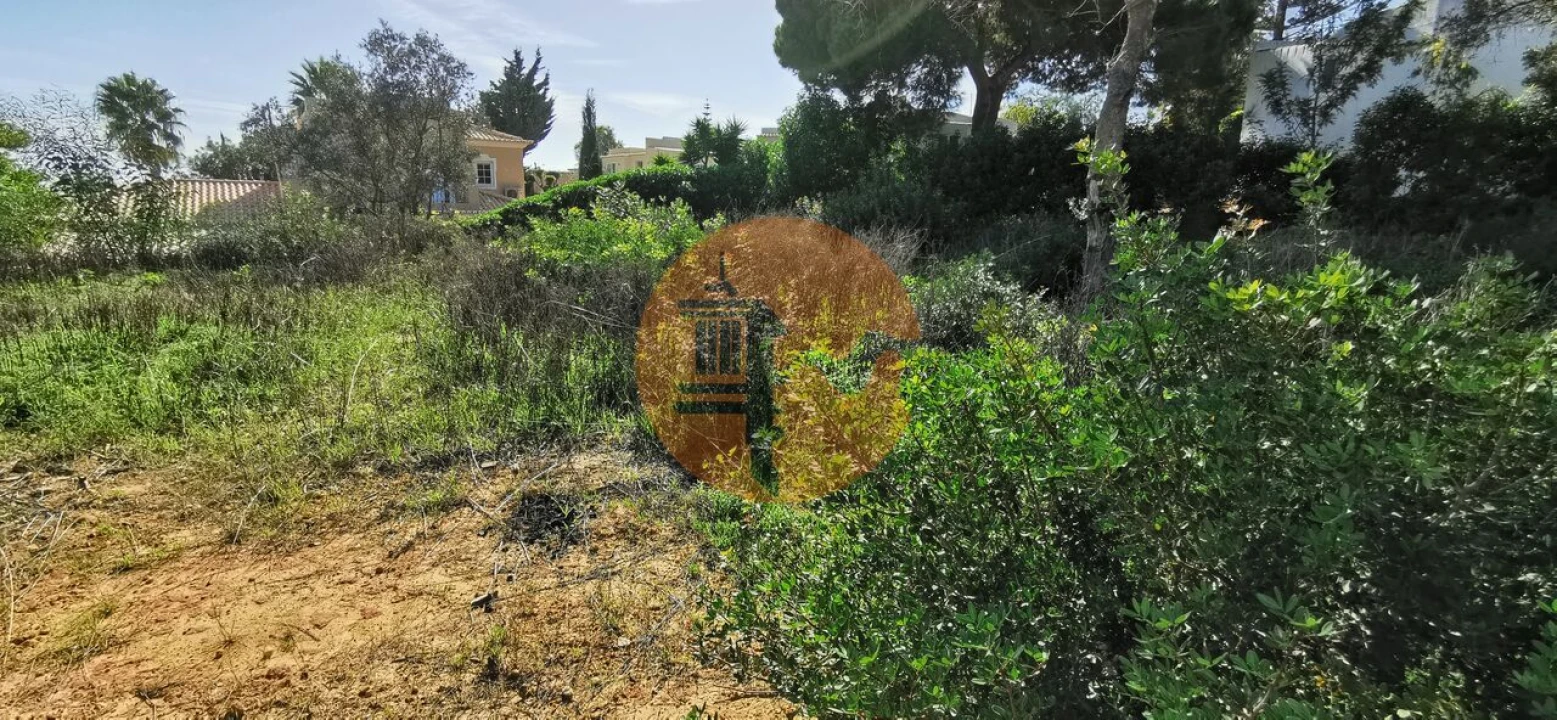 Terreno para Venda em Lagoa e Carvoeiro Foto 17