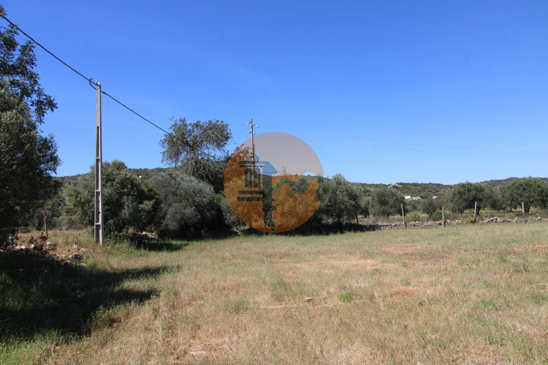 Terreno para Venda em Conceição e Estoi Foto 10