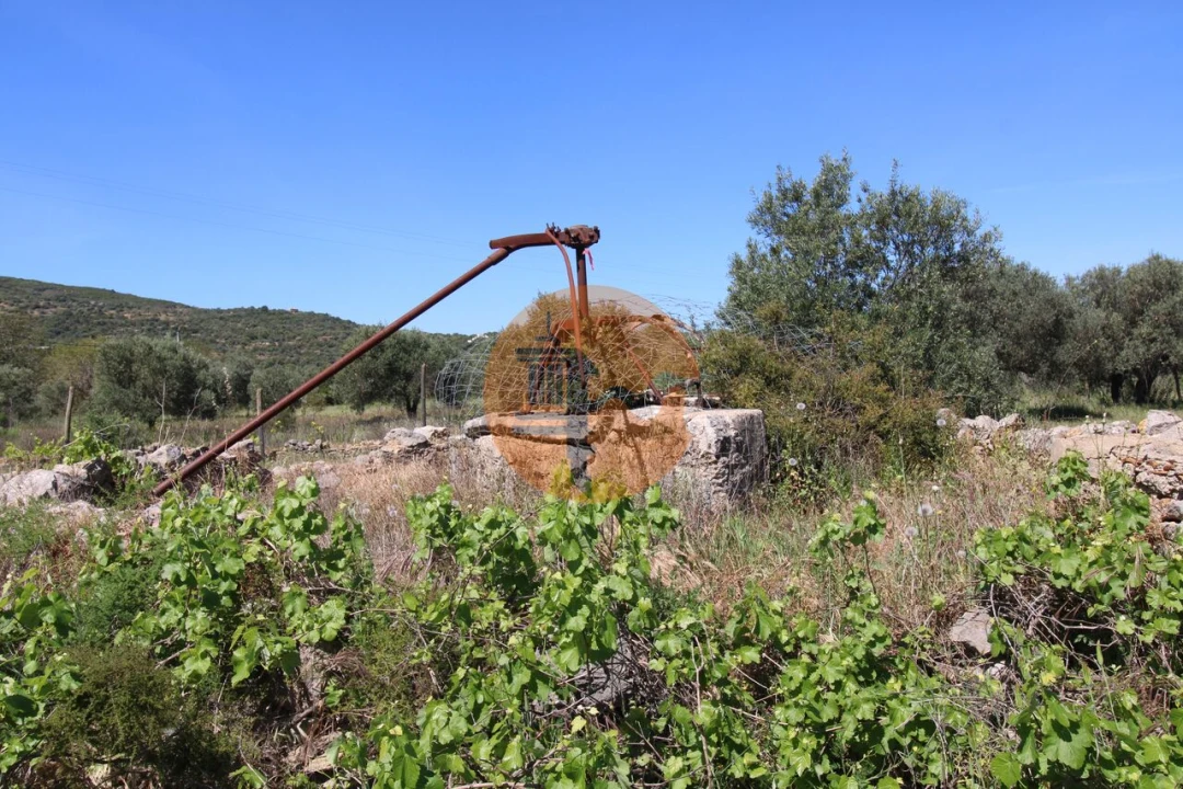 Terreno para Venda em Conceição e Estoi Foto 7
