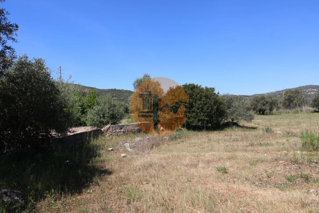 Terreno para Venda em Conceição e Estoi Foto 9