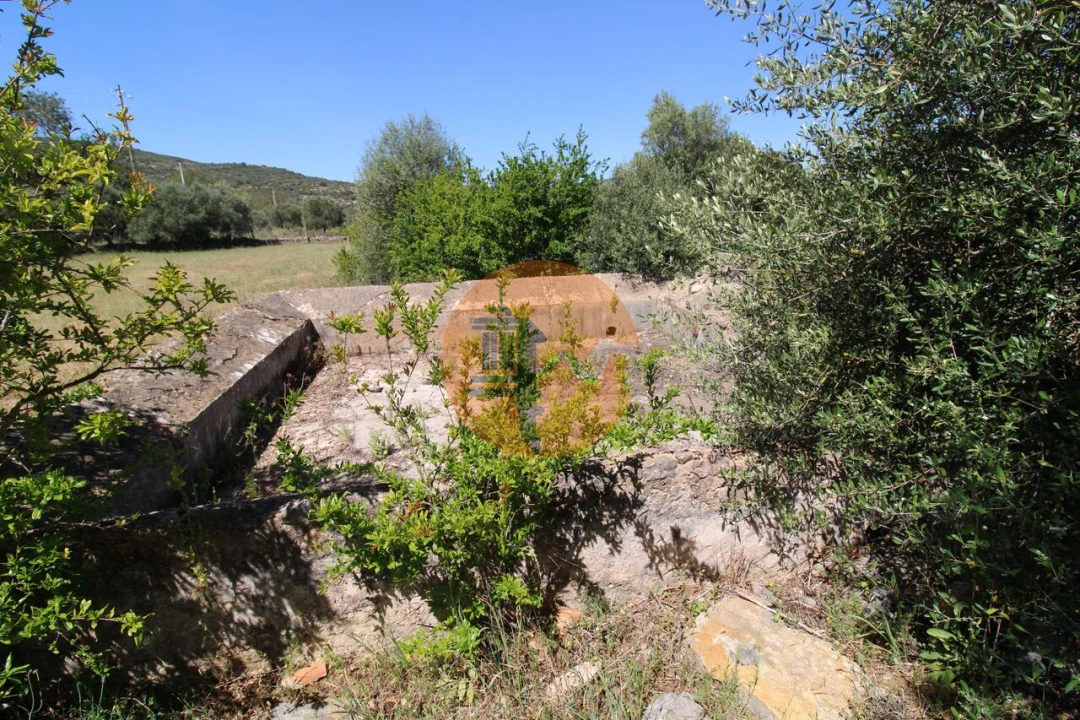 Terreno para Venda em Conceição e Estoi Foto 8