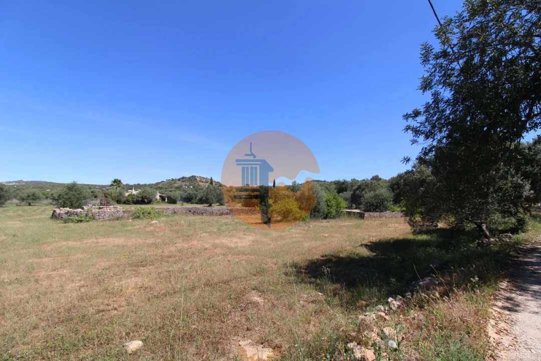 Terreno para Venda em Conceição e Estoi Foto 4