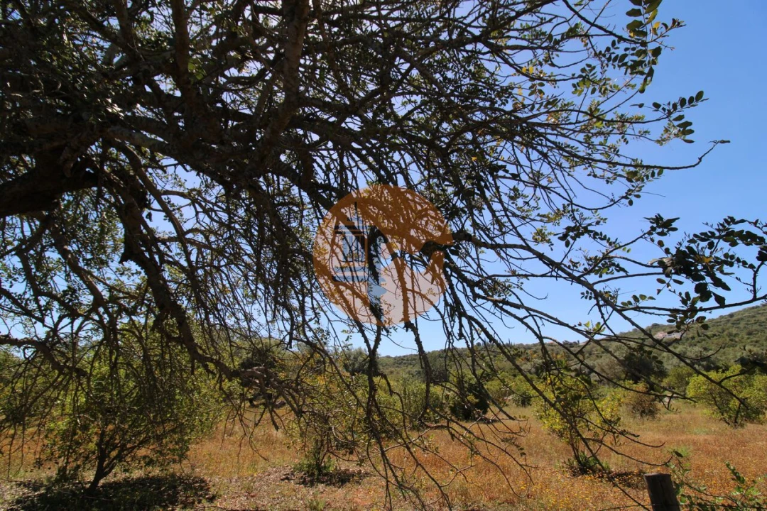 Terreno para Venda em Conceição e Estoi Foto 17