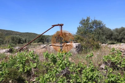Terreno para Venda em Conceição e Estoi