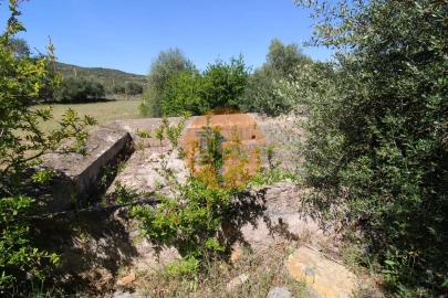 Terreno para Venda em Conceição e Estoi