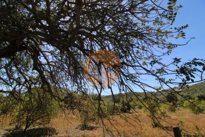 Terreno para Venda em Conceição e Estoi