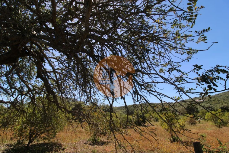 Terreno para Venda em Conceição e Estoi Foto 17