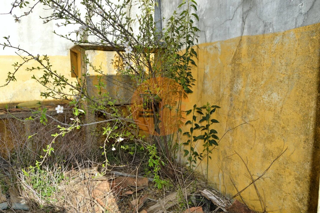 Terreno para Venda em Conceição e Cabanas de Tavira Foto 10