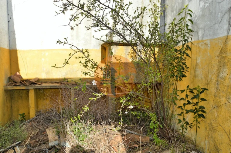 Terreno para Venda em Conceição e Cabanas de Tavira Foto 9