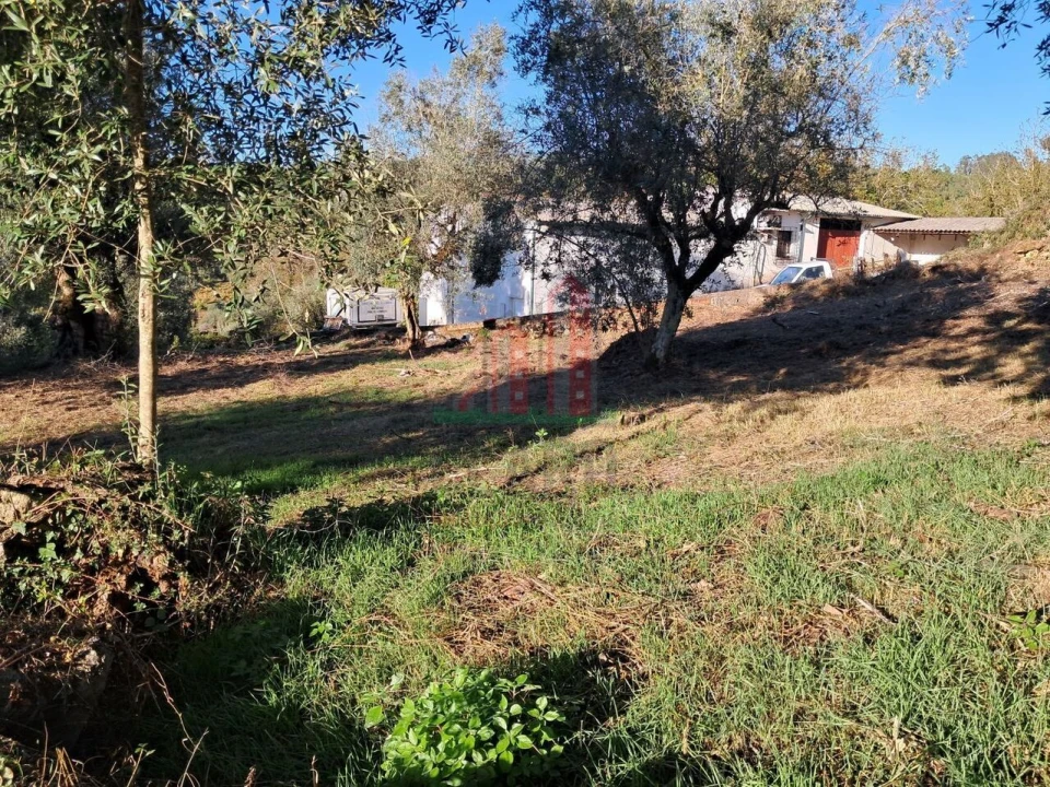 Terreno para Venda em Vila Seca e Bem da Fé Foto 14