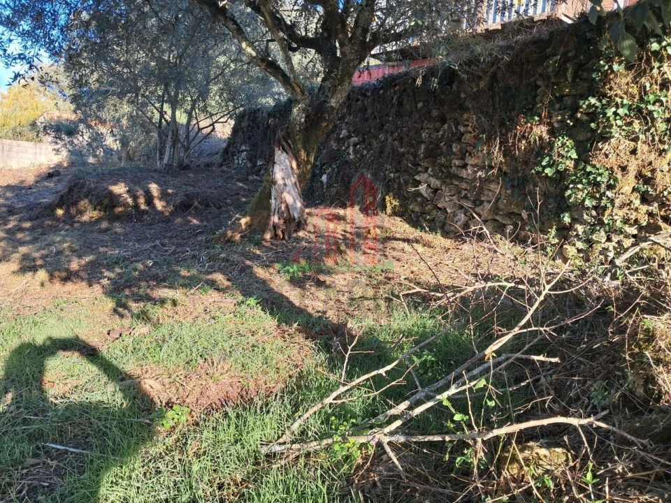 Terreno para Venda em Vila Seca e Bem da Fé Foto 16